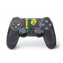Vertical Banner - Lion of Judah PlayStation PS4 Skins